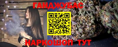 гидра Заводоуковск
