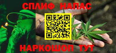 гидра Заводоуковск