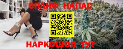 гидра Заводоуковск