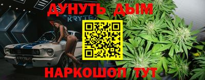 гидра Заводоуковск