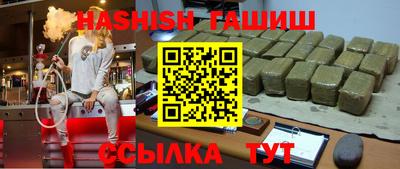 гидра Заводоуковск