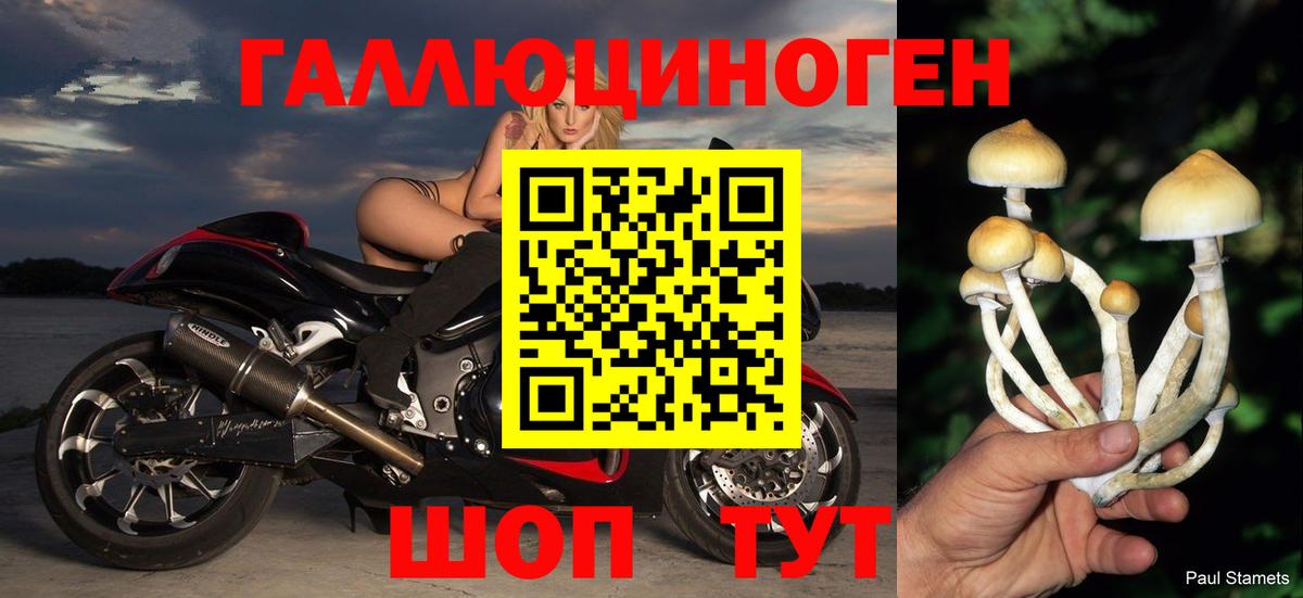 Магадан  Галлюциногенные грибы мухоморы  Вход с VPN 